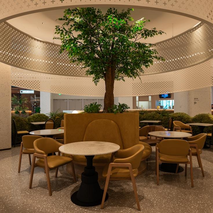 School choices for expat families in Madrid, Spain